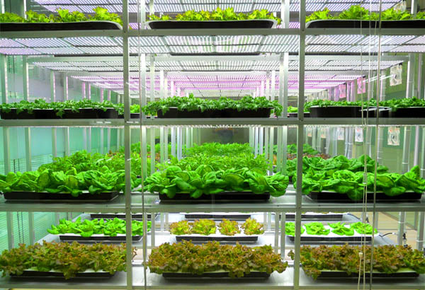 聚云位智携手农业大学共建实验室，智慧农业迈入新阶段