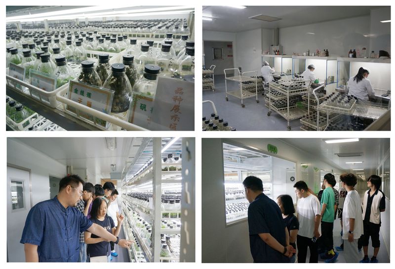 红旅拓温控新材，绿能护沃野生机——化学与环境工程学院赴南陵大浦现代农业试验区开展“青年红色筑梦之旅”活动纪实