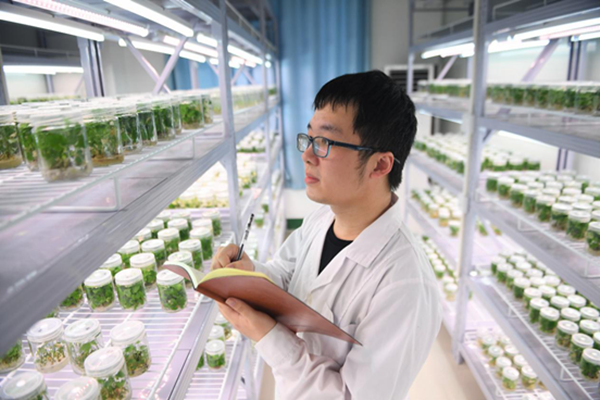 镜头丨劳动让生活更美好 农业科学研究的诗意与远方