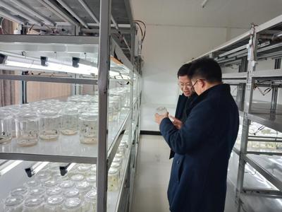 科技赋能乡村振兴 市科技局深入科研院所调研农业科研工作