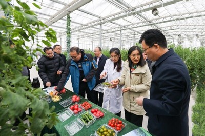 省农业农村厅副厅长曹丽虹一行调研我院溧水基地设施农业和智慧农业场景建设