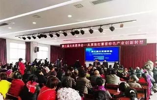 权威专家解读 红薯生产种植的关键要点与科学管理